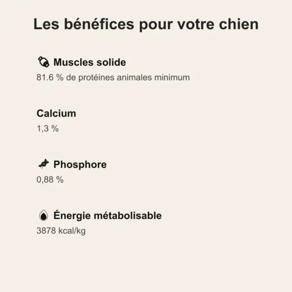 croquettes chien adulte, croquettes Bab'in medium adulte, composition croquettes Bab'in