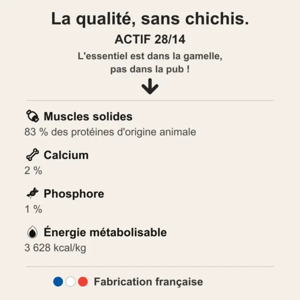 Infographie récapitulative des valeurs nutritionnelles et constituants de la recette croquettes chien ACTIF 28/14