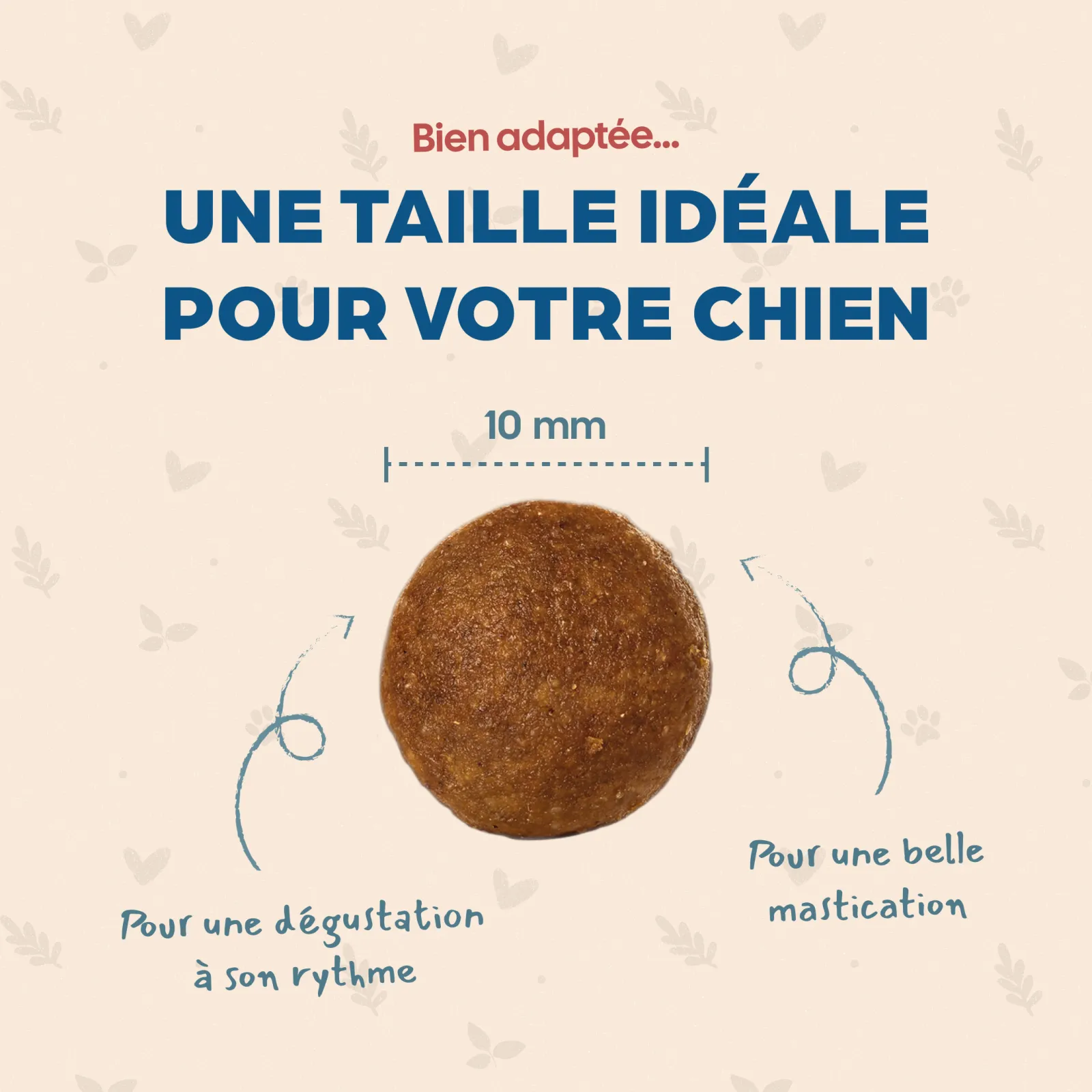 LOT DE 2 PAQUETS de croquettes de 6 kg chien de petite race/ BAB'IN Mini Adulte - taille mini adulte 10 mim taille croquettes mini adulte