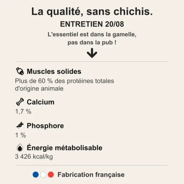 Infographie récapitulative des valeurs nutritionnelles et constituants de la recette croquettes chien Entretien 20/08
