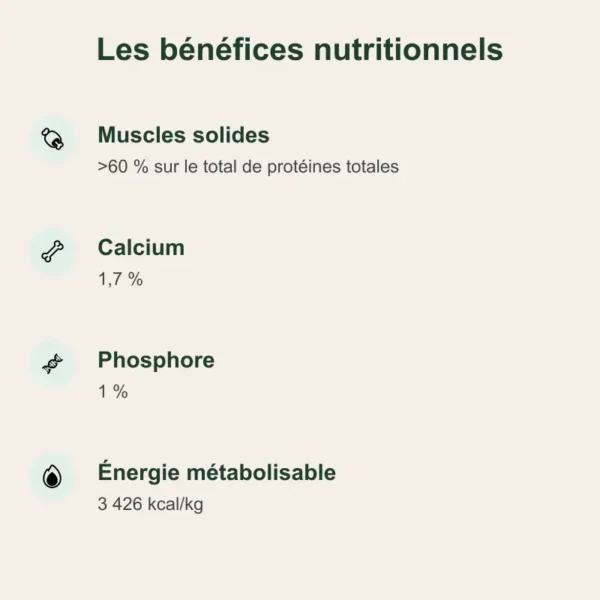 Croquettes allégées pour chien, croquettes light, croquettes chien âgés