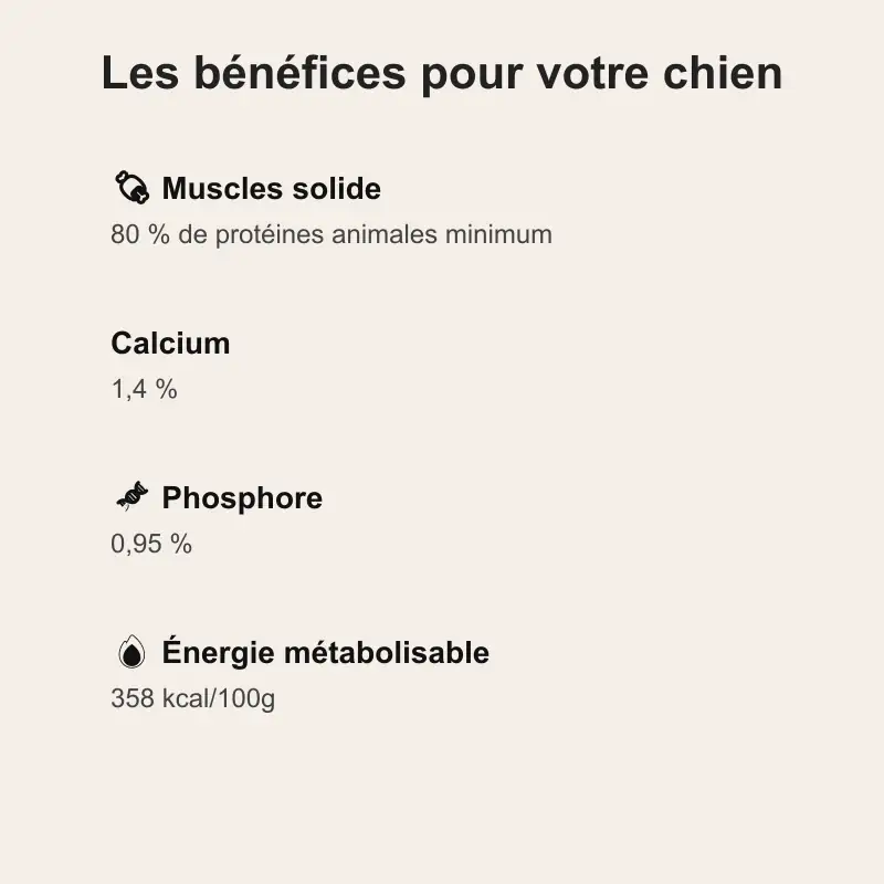 1 paquet de 12 kg de croquettes pour chien stérilisé de grande taille, BAB’IN - benefice maxi sterilise croquette sterelisé grande taille, croquette chien sterilisé