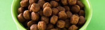 Croquettes de France