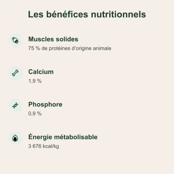 composition croquette sans céréale, croquettes sans céréales, croquette sans gluten, croquettes sans céréales fabriquée en France.