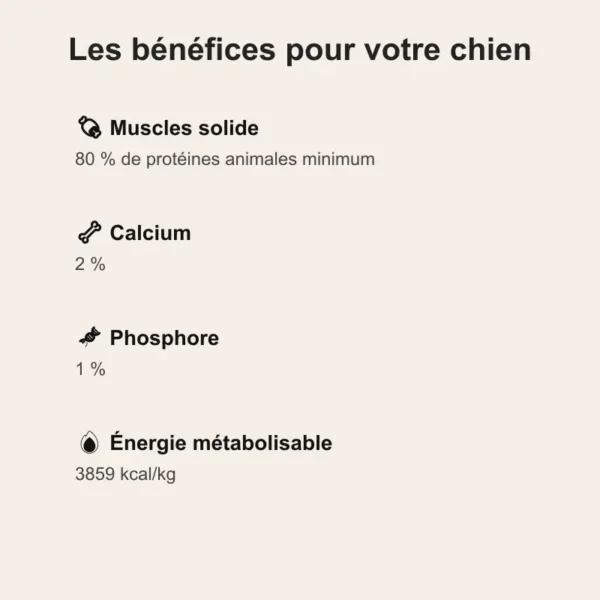 croquettes chien actif, croquette chien de chasse, croquette énergétique, croquette gestation croquette junior