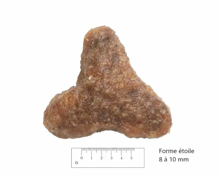 1 paquet de 14 kg de croquette chat adulte/ENTRETIEN PREMIUM 32/21 - 32 21 avec taille croquette chat adulte