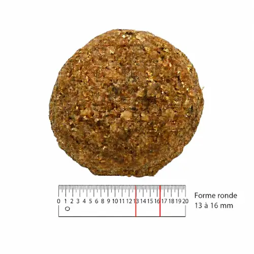 1 paquet de 14 kg de croquettes allégées chien adulte/ ENTRETIEN 20/08 - ChatGPT Image 25 juin 2026 15 58 17 croquettes allégée, croquette senior, croquettes chien agé, croquette vieux chien, croquette gros chien