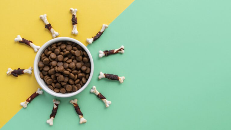 Plusieurs types de croquettes pour chiens