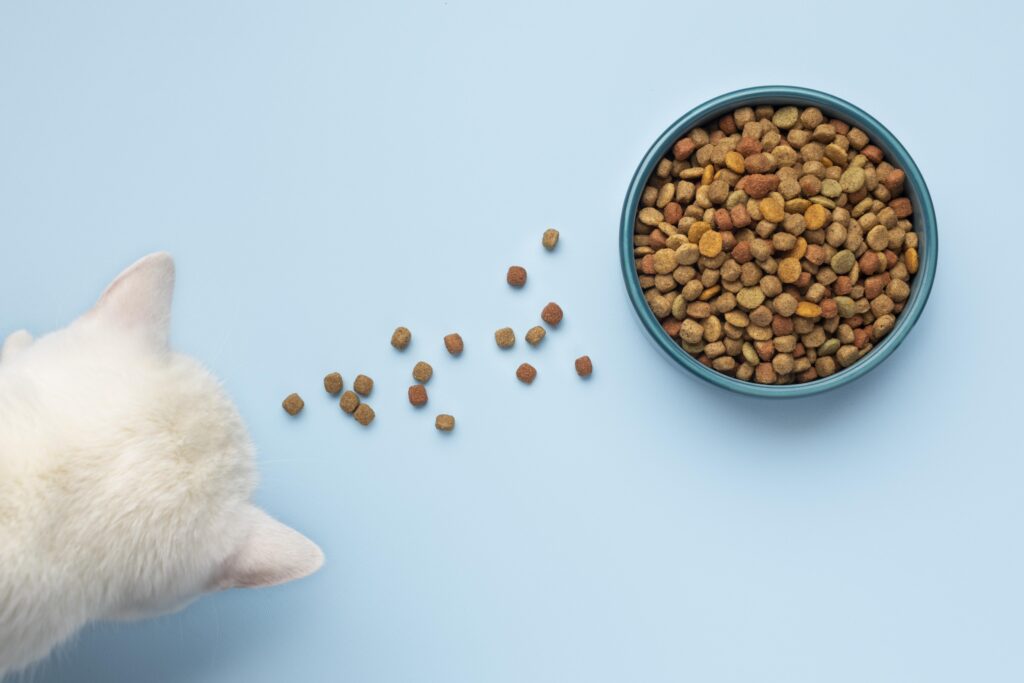 Combien de grammes de croquette par jour pour un chat ? - still life pets food assortment Un chat qui mange des croquettes