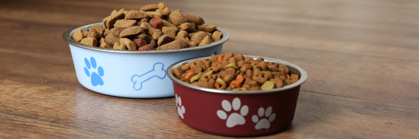 Comment conserver au mieux les croquettes pour chien ? - Design sans titre plusieurs croquettes pour chien à conserver