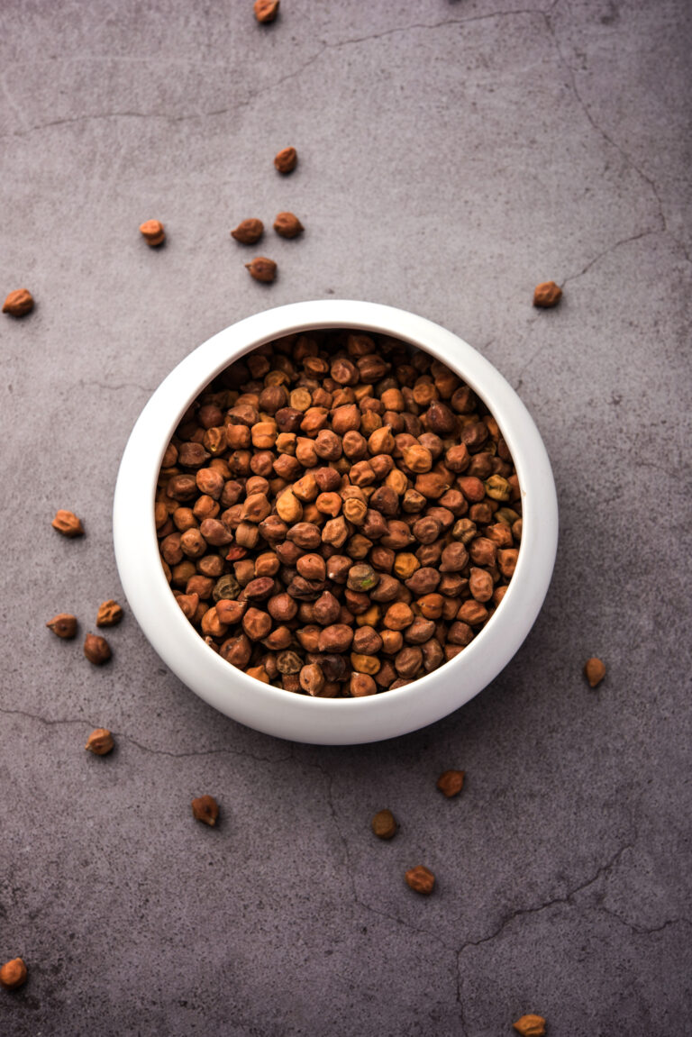 Une gamelle de croquettes pour chien